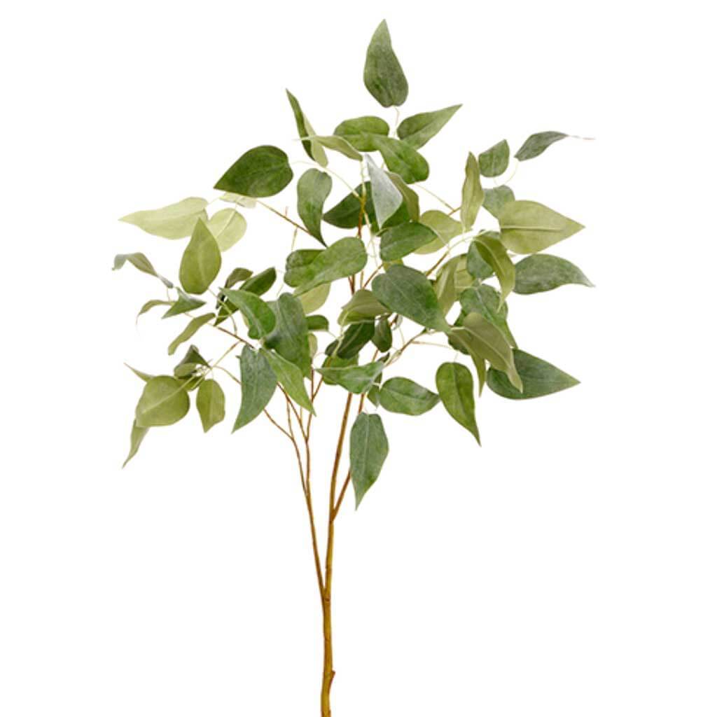 Clematis Leaf Spray  36in, Green Gray