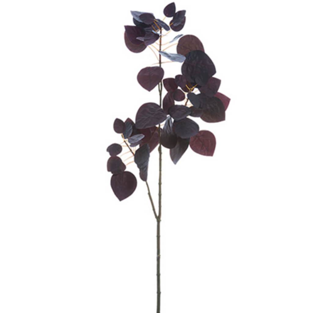 Cotinus Spray X2 34" Bu 