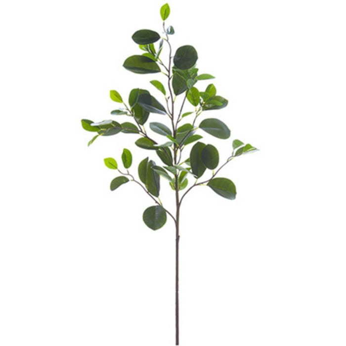 Citrus Leaf Spray 37" Gr 