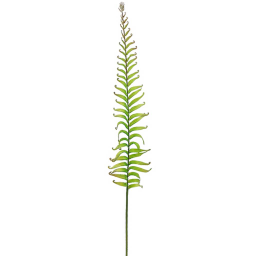 Soft Pe Rolling Fern Spray 38&quot; 