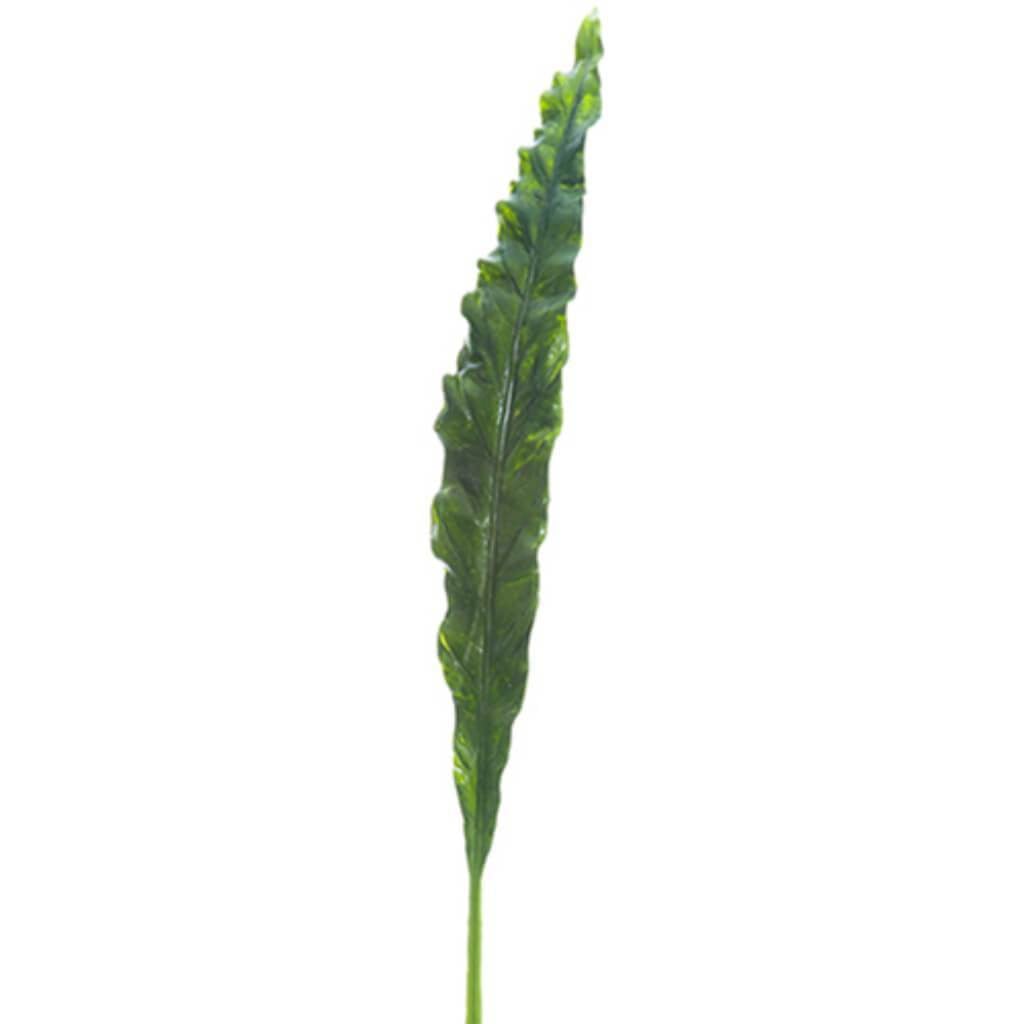 Bird'S Nest Fern Spray 41" 