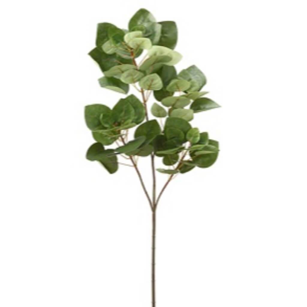 Laurel Spray X3 37" Gr 