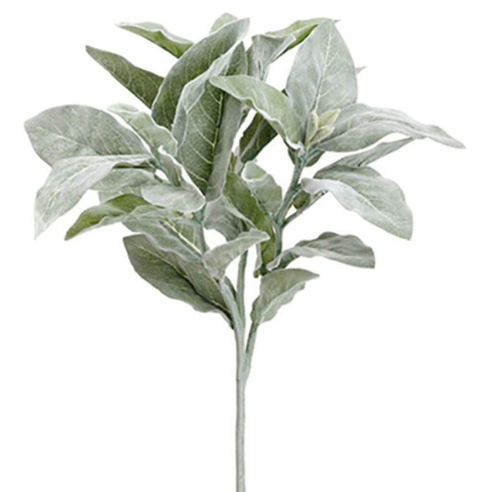 Lamb'S Ear Spray 16" Gr/Gy 