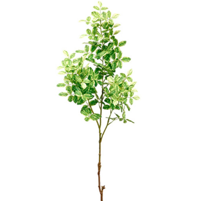 Locust Tree Branch 31" Gr/Cr 