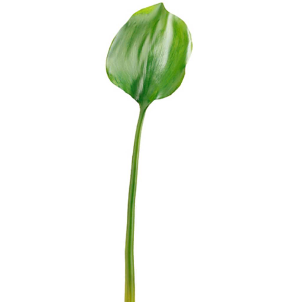 Water Lily Leaf Spray 25.5" Gr 