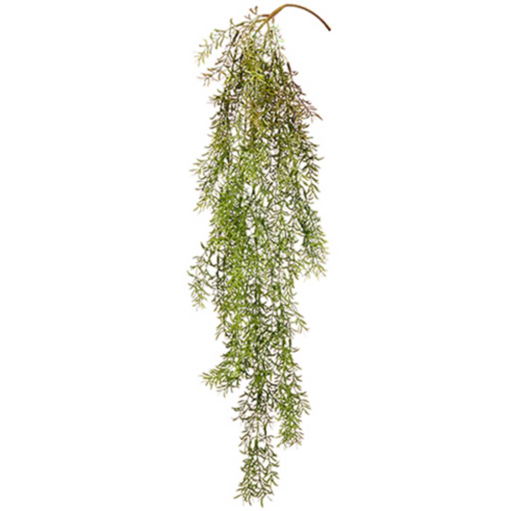 Myrtle Hanging Spray 36.5" Gr 