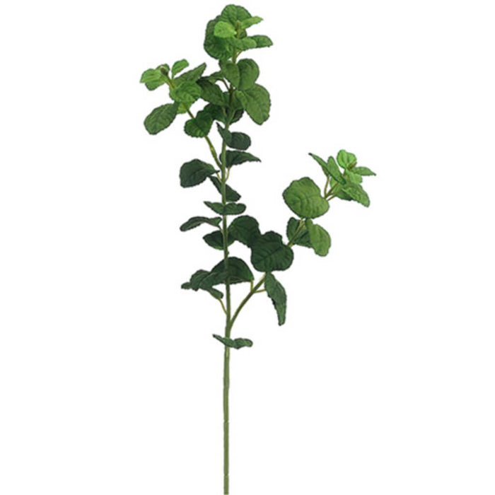 Round Leaf Mint Spray X2 25" 