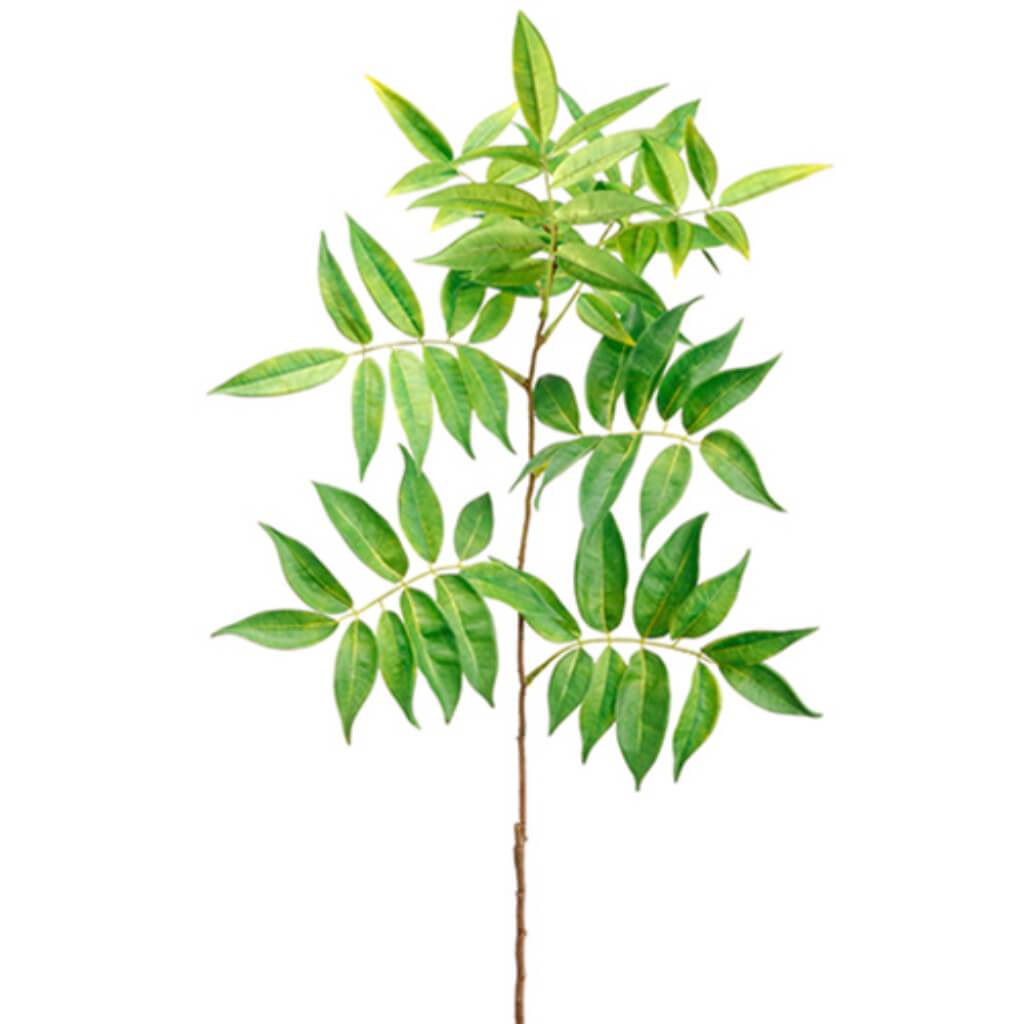 Peperberry Leaf Spray 36" Gr 