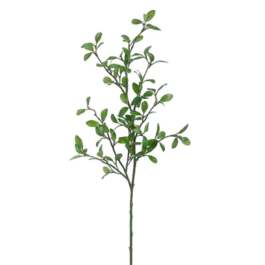 Rose Myrtle Leaf Spray 42in Green