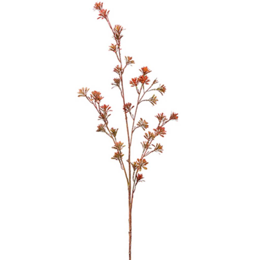 Sedum Spray 41.5" Bu 