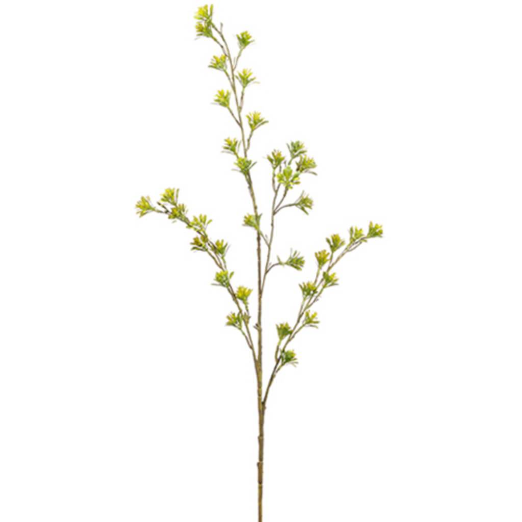 Sedum Spray 41.5" Gr 