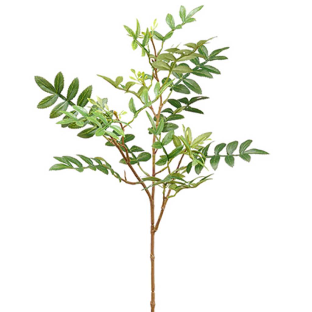 Sorbus Leaf Spray 24&quot; Gr 