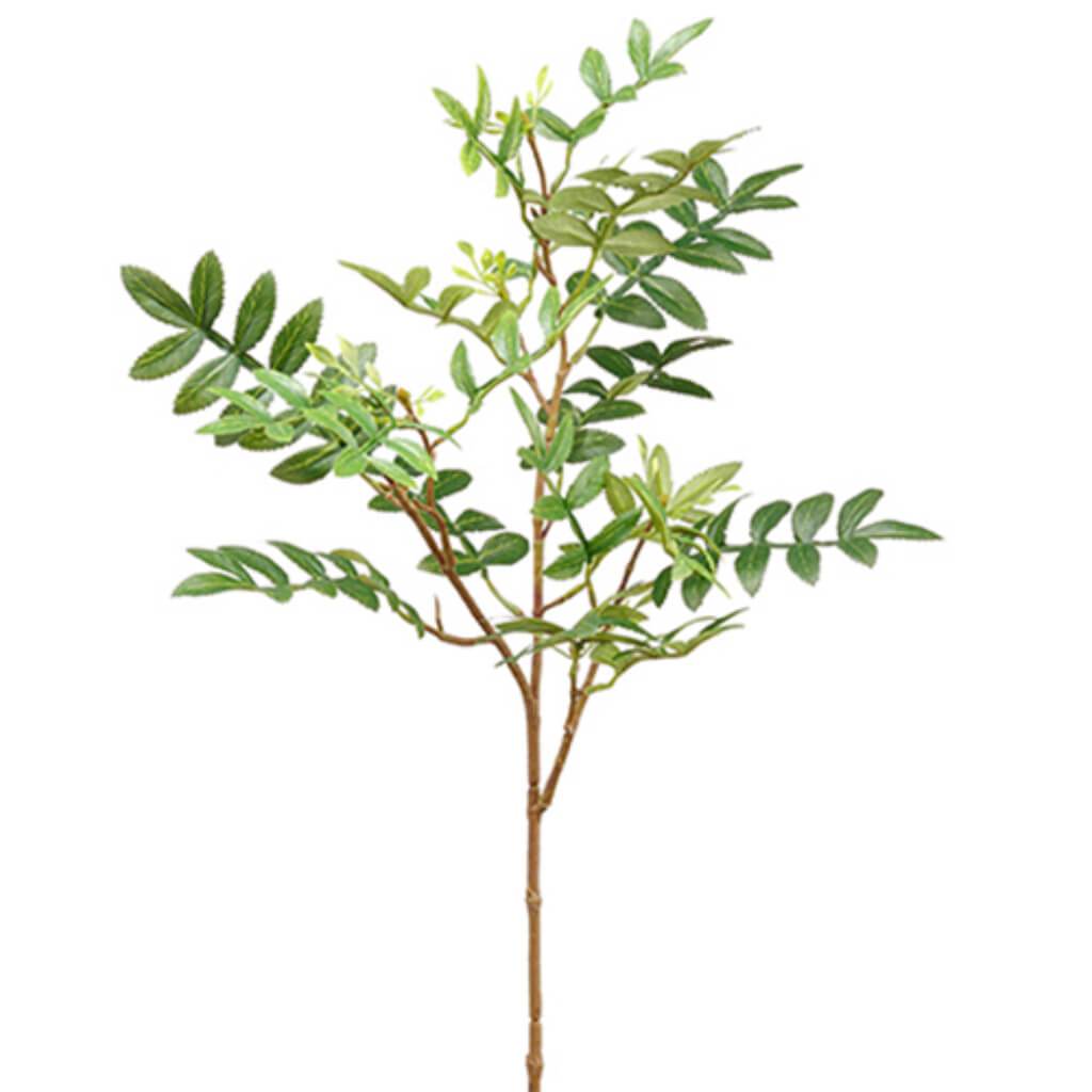 Sorbus Leaf Spray 24" Gr 