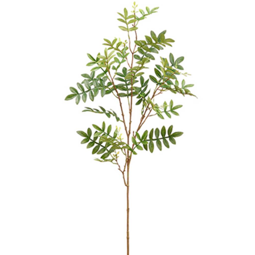 Sorbus Leaf Spray 43&quot; Gr 