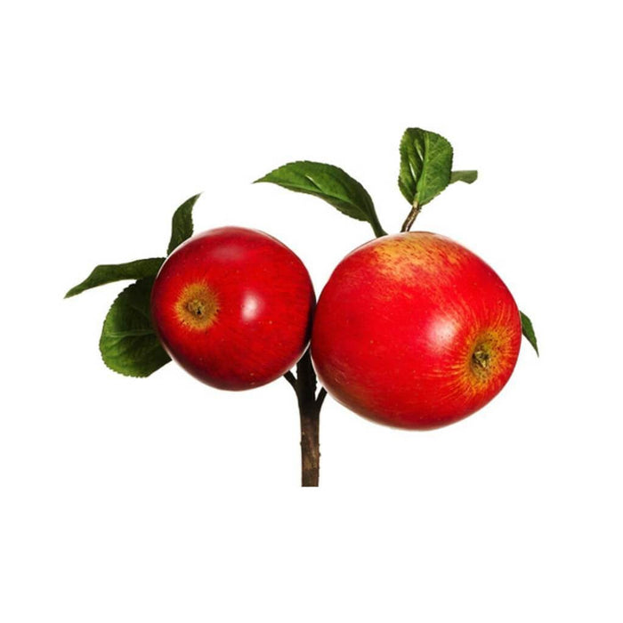 Apple Pick 8" Re 