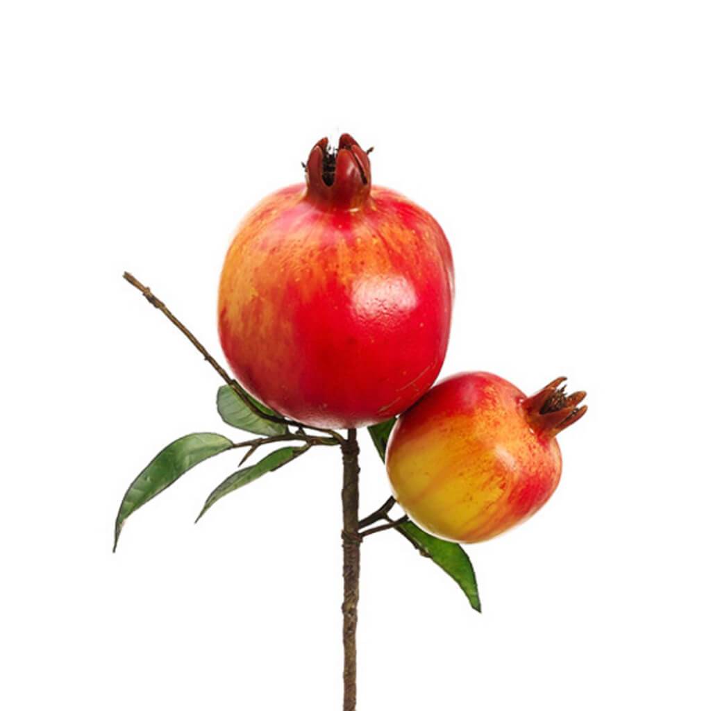 Pomegranate Pick 9" Re/Gr 