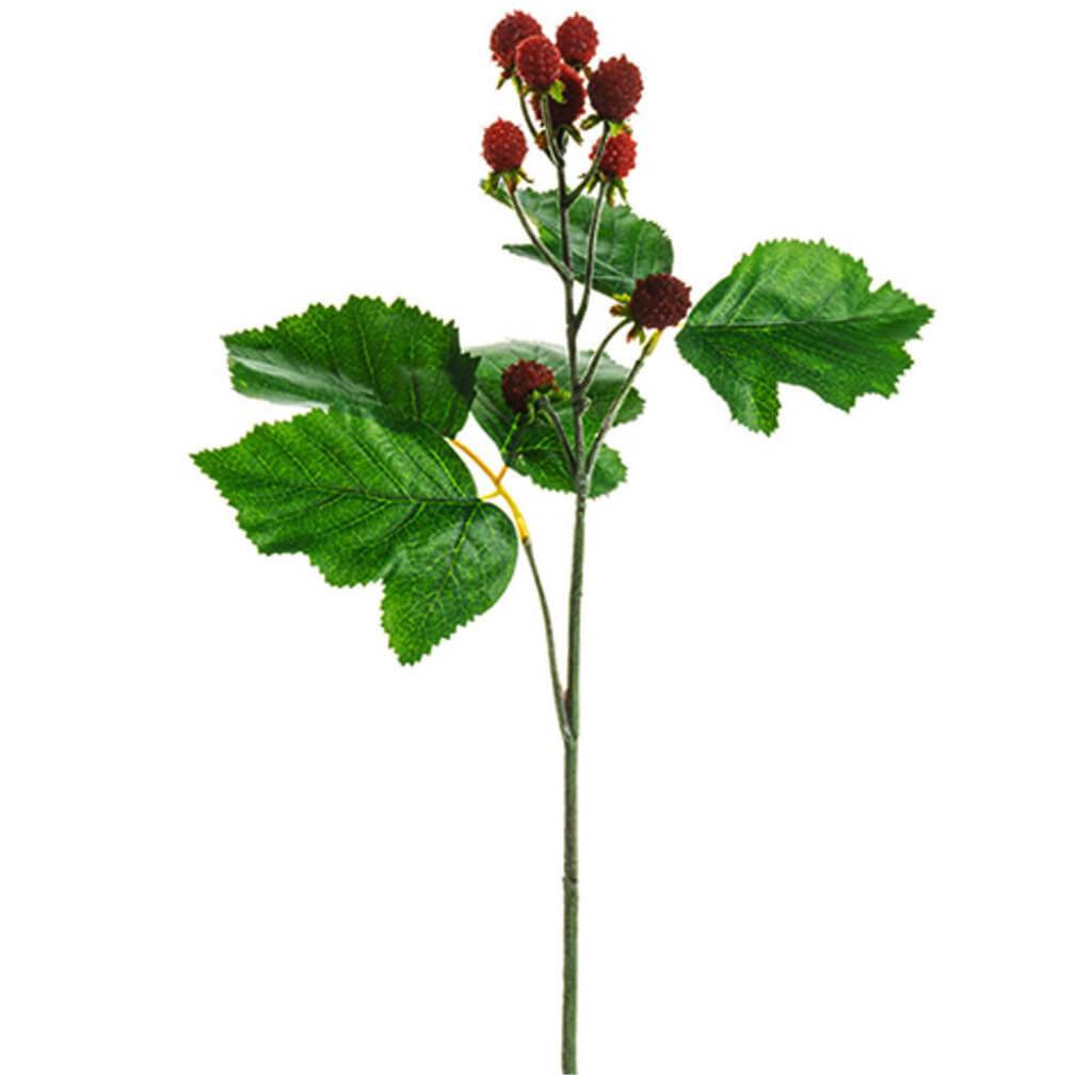 Christmas Floral