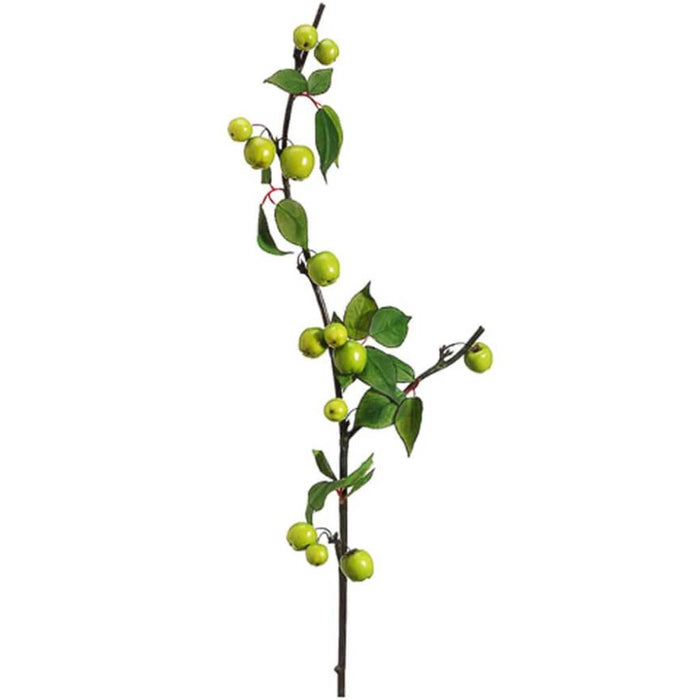 Crab Apple Spray 40" Gr 