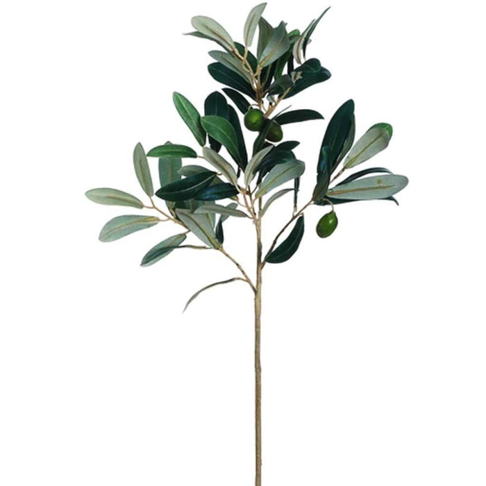 Olive Spray 17" Gr/Bu 