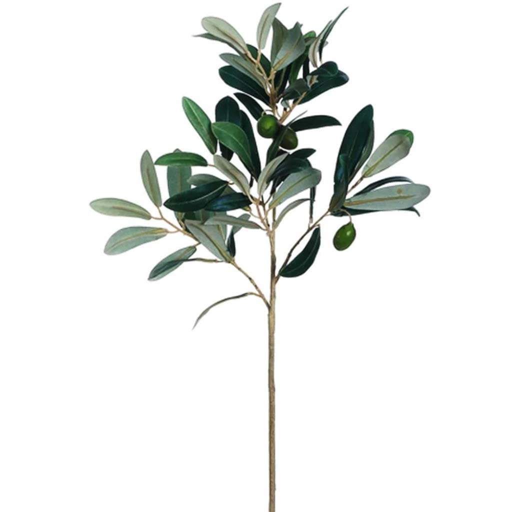 Olive Spray 17" Gr/Bu 