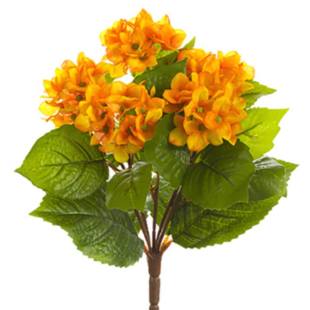 Hydrangea Bush 10" Or/Ye 