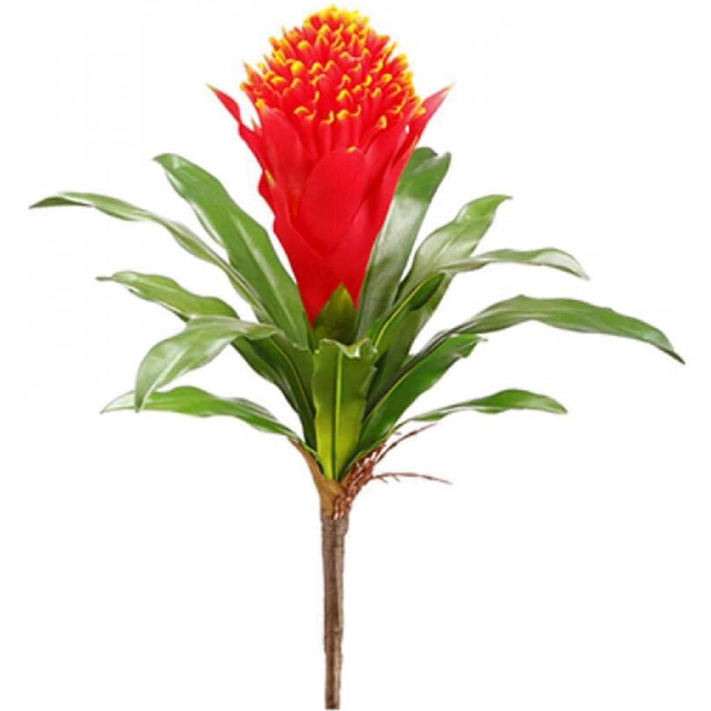 Bromeliad Spray 14&quot; Fl 