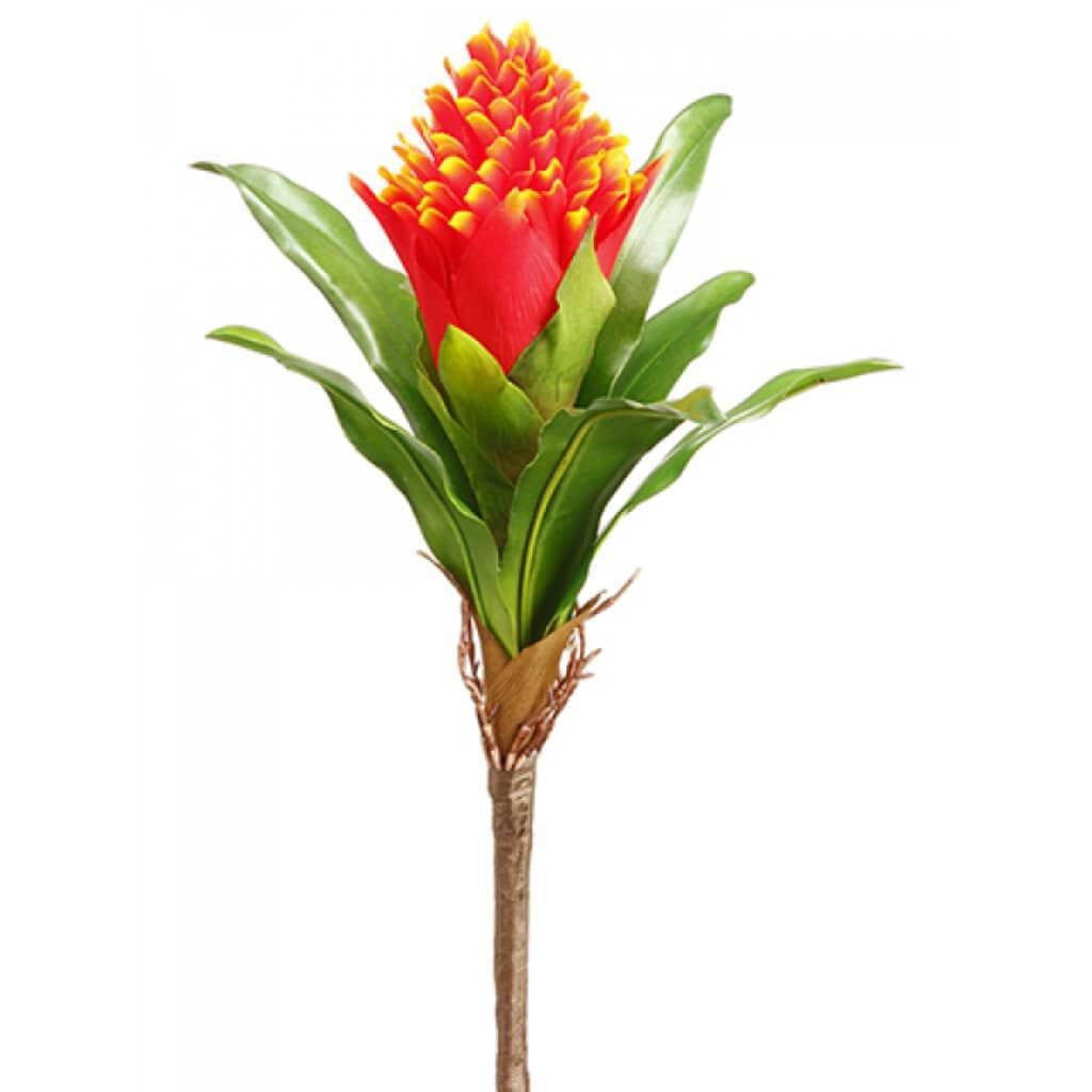 Bromeliad Spray 12&quot; Fl 