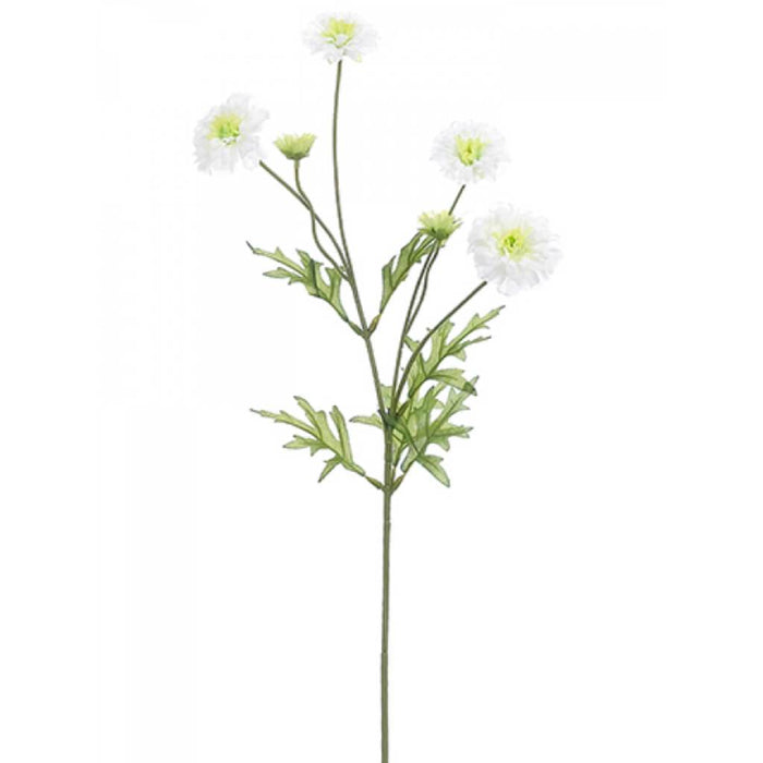 Marigold Spray 25.5" Wh 