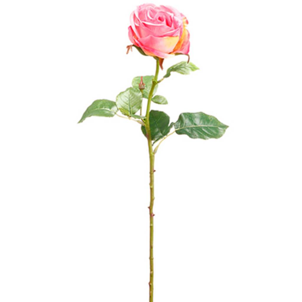 Rose Spray 27" Bt 