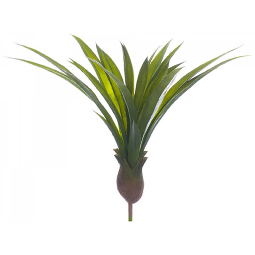 Cymbidium Orchid Leaf Plant 13" 