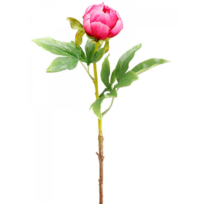 Peony Bud Spray 22" Bb 