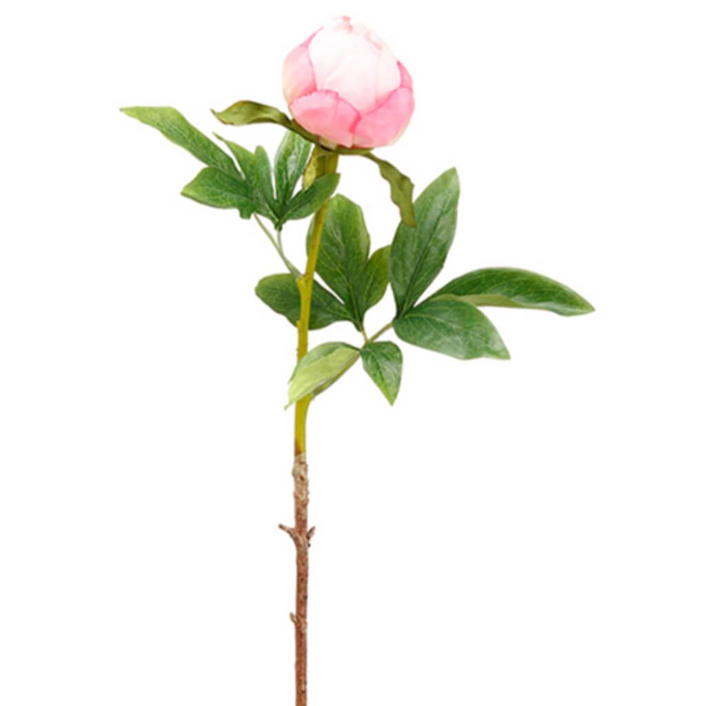 Peony Bud Spray 22&quot; Ce/Fu 