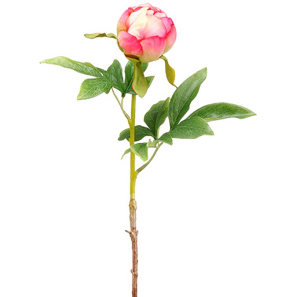 Peony Bud Spray 22&quot; Pk 