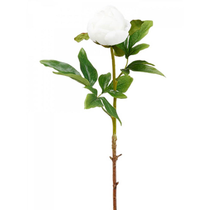 Peony Bud Spray 22" Wh 