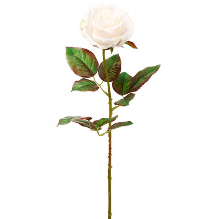 Ecuador Rose Spray 20.5" Bs 