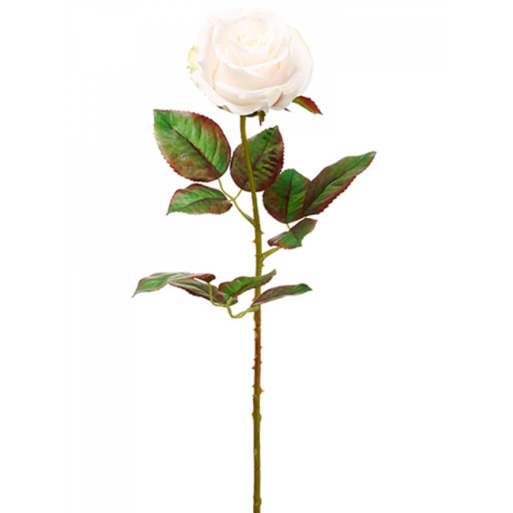 Ecuador Rose Spray 20.5" Bs 