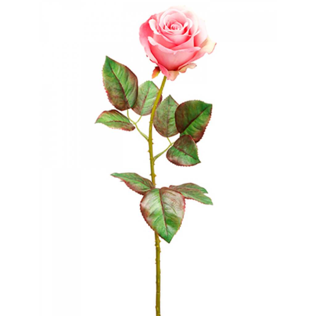 Ecuador Rose Spray 20.5" Bt 