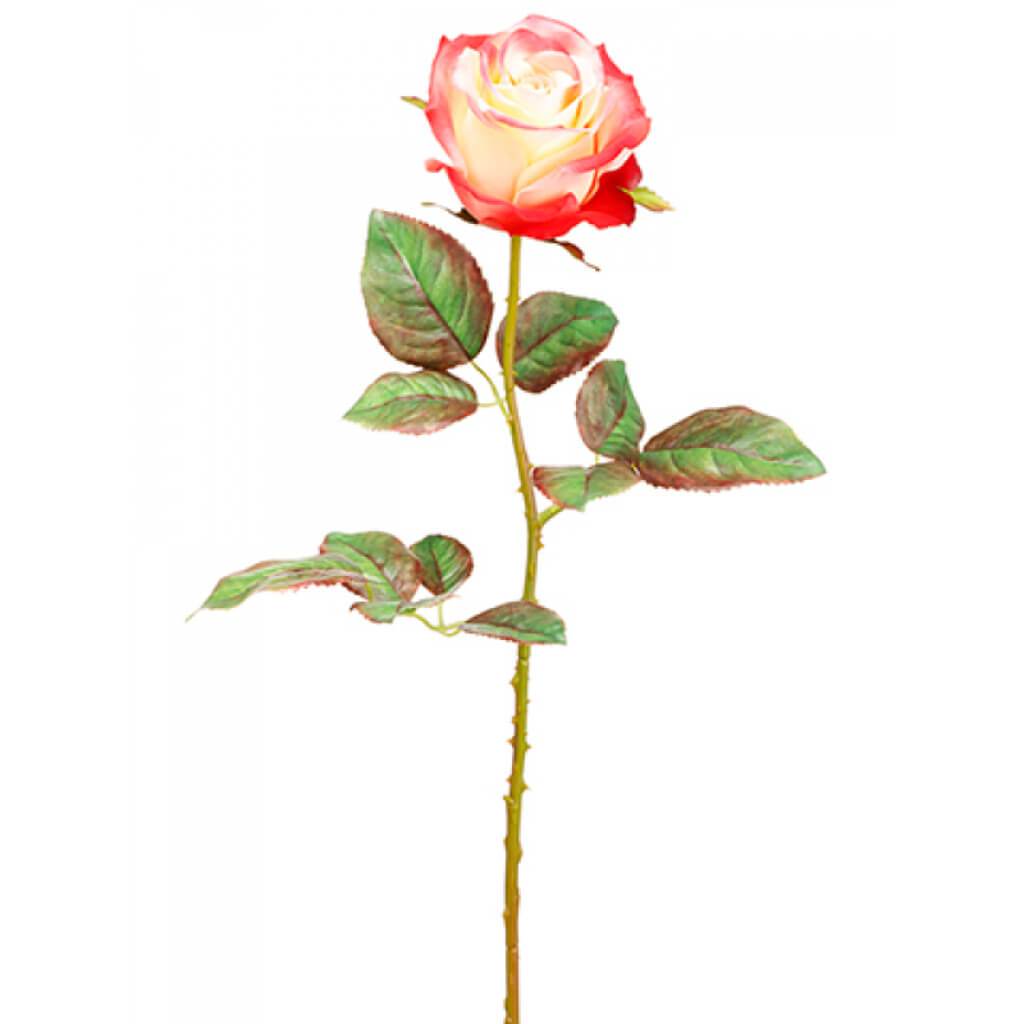 Ecuador Rose Spray 20.5" Co 