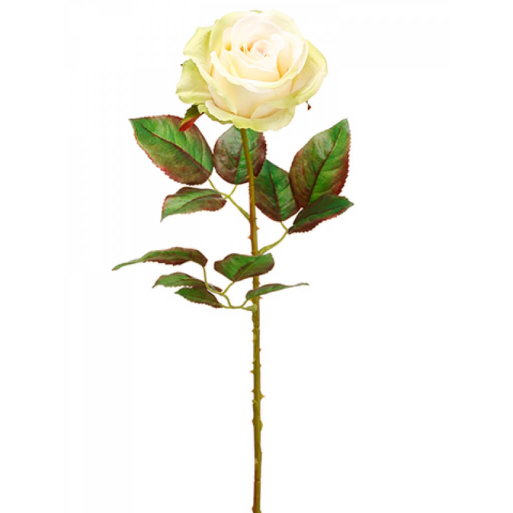 Ecuador Rose Spray 20.5" Gr/Bs 