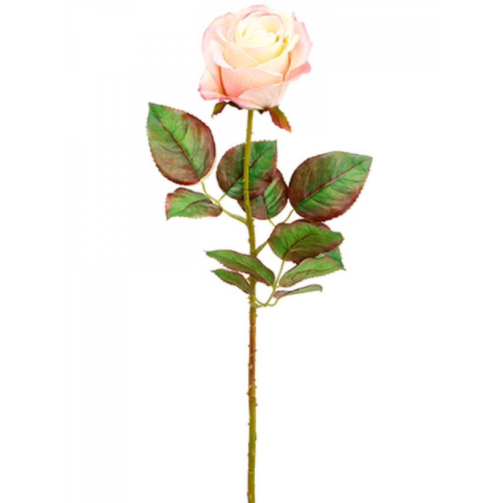 Ecuador Rose Spray 20.5" Pe 