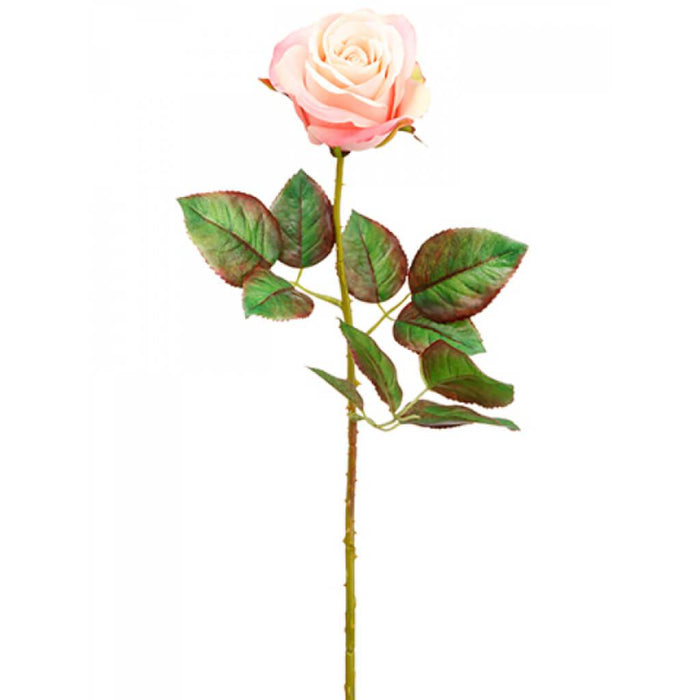 Ecuador Rose Spray 20.5" Pk 