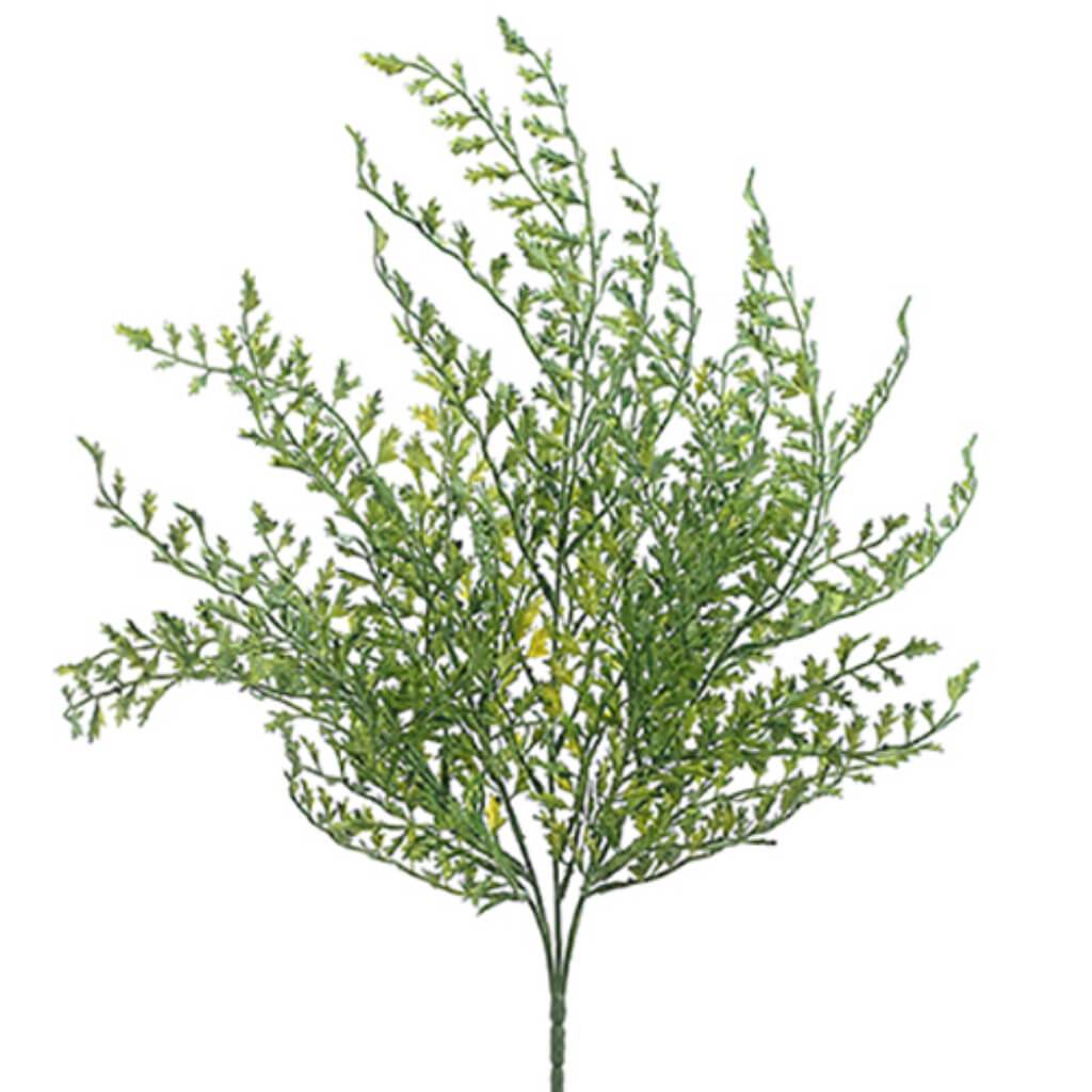 Fishtail Fern Bush 19&quot; Gr/Gy 