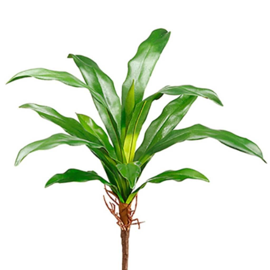 Bromeliad Leaf Spray 16&quot; Gr 