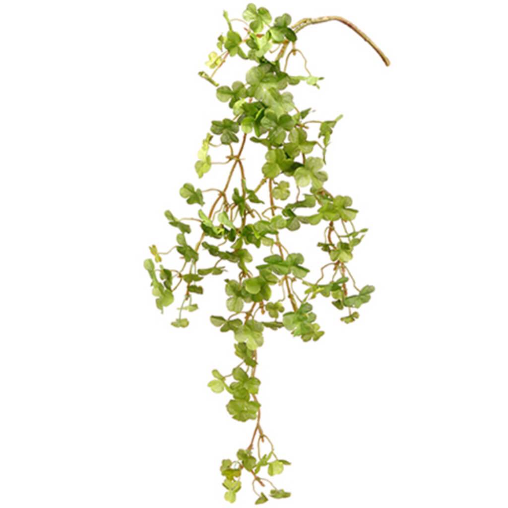 Clover Hanging Pick 18" Gr 