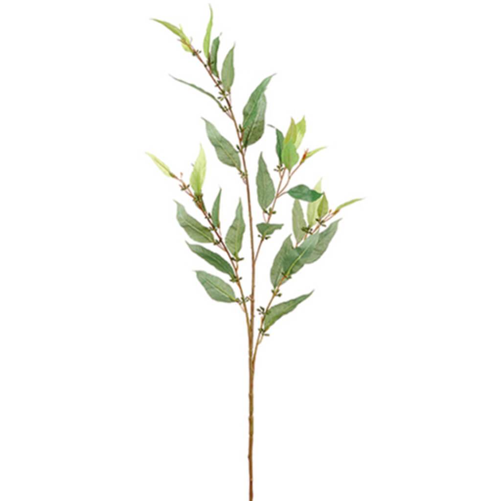 Eucalyptus Spray 42" Gr 