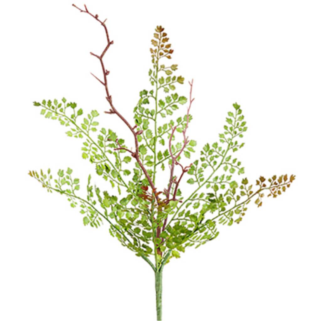 Maidenhair Fern Spray 18" Gr 