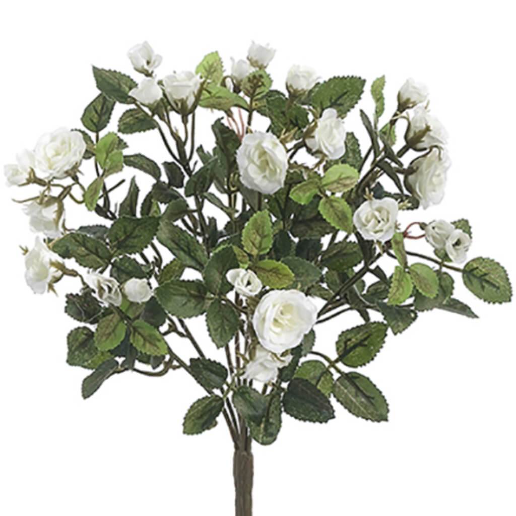 Mini Rose Bush X8 12.5&quot; Wh 