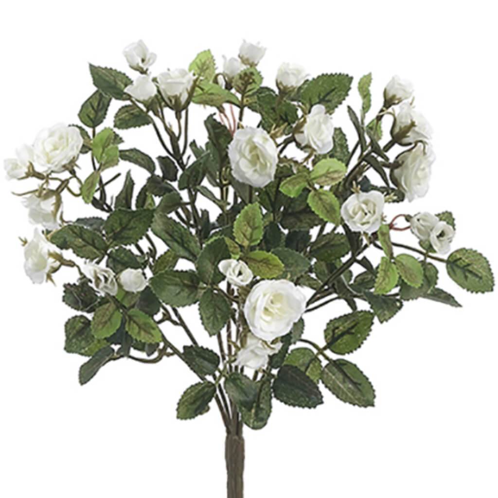 Mini Rose Bush X8 12.5" Wh 