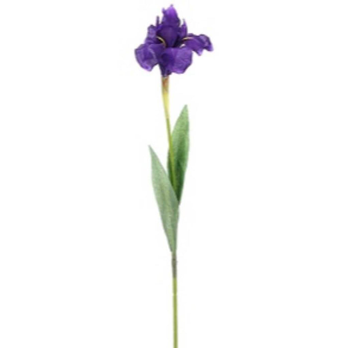 Iris Spray 24" Pu 