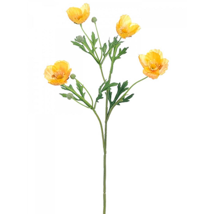 Poppy Spray 22" Ye 